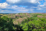 Aussichtspunkt und zugleich Stempelstelle 139 der Harzer Wandernadel ist die Kuckholzklippe südlich von Clausthal-Zellerfeld.