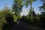 Abend in der Wildnis an der Hahnenkleer Waldstraße; Aufnahme vom 11.