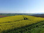 Felder im Ambergau bei Bornum, Lkr.