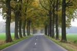 Herbstliche Allee zwischen Visselhvede und Walsrode