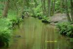 Die Este als Waldfluss unweit der Butterbarg Brügg im Verlauf des Este Wanderweges von Bötersheim nach Hollenstedt. Das Bild enstand auf einer Radtour von Buchholz in der Nordheide nach Hollenstedt.