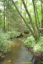 Baumfächer über der Este. Der Heidefluss Este entspringt südöstlich von Welle in der Lüneburger Heide und durchquert westlich von Buchholz in der Nordheide die Samtgemeinden Tostedt und Hollenstedt bevor er über Moisburg und Buxtehude sowie bei Cranz in die Elbe mündet.