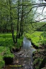 Das Steinbachtal sdlich des Stadtteiches von Buchholz in der Nordheide an einem schnen Frhsommertag 2006

 Jan Schuur 2006