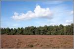 Die Klein Bnstorfer Heide bei Bad Bevensen ist von einem Wald umgeben. Aufnahmedatum: 09.09.2007