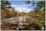 Winter im Pietzmoor Februar 2014, diese Aufnahme ist geradezu typisch für das Hochmoor bei Schneverdingen, im letzten Jahrhundert wurde hier noch Torf abgebaut, rechts & links der heutigen