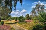 Wanderweg in der Dübelsheide bei Faßberg/Oberohe (Südheide) August 2014