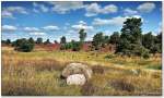 Timmerloher Heide bei Soltau, Findlinge Nähe Schafstall, August 2012.