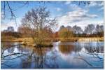 Vorfrühling im Februar, Teich Nähe Gewerbegebiet Schneverdingen, Februar 2015