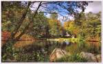 Herbst im Süd-Park Schneverdingen, Oktober 2015