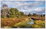 An den Fintau-Quellen, Reinsehlen Lüneburger Heide.