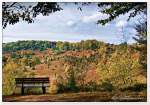 Der Totengrund in der Lüneburger Heide im Herbst.