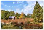 Der Steingrund im Herbst, Lüneburger Heide Oktober 2011.