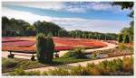 Panorama vom Heidegarten in Schneverdingen, im September 2014.