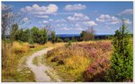 Weg am Wilseder Berg in Richtung Undeloh, Lüneburger Heide im August 2014.