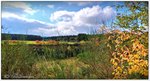 Stillgelegte Sandabbau-Kuhle bei Ostervesede, Heiderandgebiet, Herbst Oktober 2016