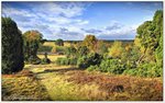 Herbst am Turmberg bei Oberhaverbeck, der Blick geht Richtung Heidetal.