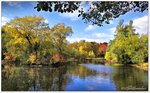 Auch im Oktober 2016, ist der See im Süd-Park in Schneverdingen wieder eine Augenweide. Größere Wasserflächen sucht man in der Lüneburger Heide in der Regel vergebens, zwar entstehen hier viele kleine Flüsse, doch große ausgedehnte Gewässer sind nicht dabei.