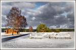 Winter in Schneverdingen/Reinsehlen, normalerweise grasen hier die Heidschnucken.