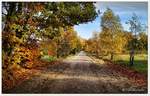 Der Wanderweg von Oberhaverbeck nach Wilsede, auch zahlreiche Kutschen nutzen im Sommerhalbjahr diesen Weg. Lüneburger Heide November 2018.