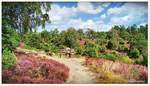 Die Borsteler Grube bei Bispingen in der Lüneburger Heide.