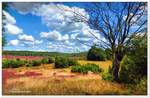 Mein Freund der Baum ist tot...die Heide aber lebt und blüht wunderschön im August 2020.
Nähe Turmberg bei Oberhaverbeck, mit Blick auf Bockelmanns Heide, Naturschutzgebiet Lüneburger Heide.