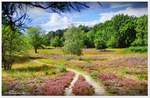 Wanderweg in der Vareler Heide bei Scheeßel im Kreis Rotenburg/Wümme.