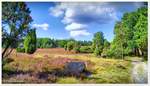 Wanderung zum Wilseder Berg im September 2020.