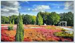 Schneverdingen Lüneburger Heide im September 2020.