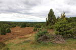 Totengrund in der Lüneburger Heide bei passendem Wetter am 04.10.2020. 