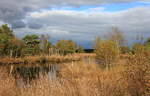 Pietzmoor bei Schneeverdingen im Wechsel von Sonnenschein und Wolken am 04.10.2020.