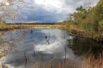 Pietzmoor bei Schneeverdingen am 04.10.2020.