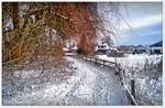 Rundweg am Wiesensee in Lauenbrück, der Schnee ist ein seltener Gast im Heiderandgebiet, doch Anfang Februar 2021 war es wieder einmal so weit. 