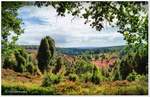 Der Totengrund im Naturschutzgebiet Lüneburger Heide, Vom Wanderweg aus schauen wir in die Senke aus der Saale Eiszeit, Blickrichtung Sellhorn und Bispingen. August 2017