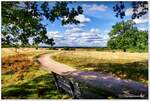 Lüneburger Heide, da wo die Welt scheinbar grenzenlos ist.