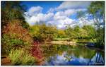 Südpark Schneverdingen in der Lüneburger Heide.