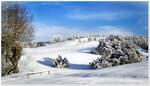 So schön kann die Heide im Winter sein, wenn erst einmal Schnee liegt ;-) Das aber ist leider selten der Fall. So bleibt nur dieses Foto-Dokument aus dem Jahre 2010. Im Bild der Weg ins Heidetal, bei dem Hügel handelt es sich um den Stattberg bei Niederhaverbeck. Soll wohl heißen, Hügel statt Berg, so die Sage. 