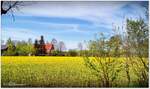 Rapsfeld im Heiderandgebiet bei Fintel. Die ersten warmen Tage im Jahr, zaubern wieder Farbe in die Landschaft. Am 1. Mai 2023.