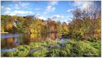 Wiesensee Lauenbrück im Herbst, Anfang November 2023.