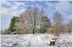 Der erste Schnee in der Lüneburger Heide. Oberhaverbeck/Niederhaverbeck. Am 1.Advent 2023