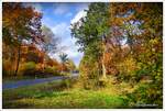 Landstraße bei Erhorn, Naturschutzgebiet Lüneburger Heide. Im Herbst, Ende Oktober 2021