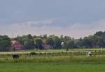 Weideland und Bauernhuser bei Varel-Streek (20.06.2011)