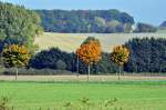 Herbstimmung in Vehrte am 21.10.14.