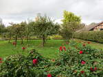 Klostergarten im Kloster Oesede in Georgsmarienhütte (11.10.2021)