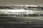 Eine Buhne in der Abendsonne am Nordstrand von Norderney.