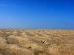 Foto aus dem Nationalpark Niederschsisches Wattenmeer, hier vor Spiekeroog am 22.05.2008