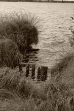 Ostfriesland in Schwarzweiss: Kleine Szene am 'Ewigen Meer' harmonisiert Wasser, Gras und Binsen.