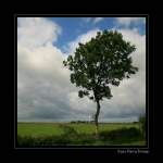 Landschaft in der Nhe von Pilsum - Ostfriesland, Deutschland