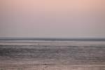 das Wattenmeer bei Norddeich im Juli 2012