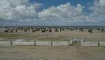 Der Strand in Neuharlingersiel.24.08.2014