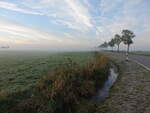 Felder bei Ditzumerverlaat, Ostfriesland (10.10.2021)